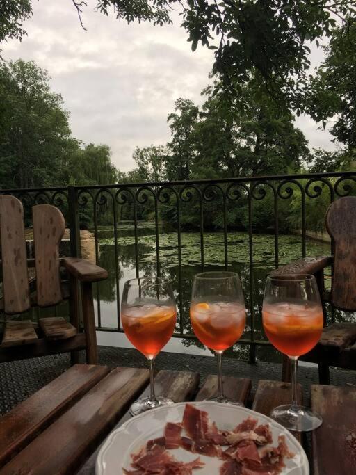 Villa Magnifique Moulin proche Chablis, jacuzzi et rivière Annay-sur-Serein Esterno foto