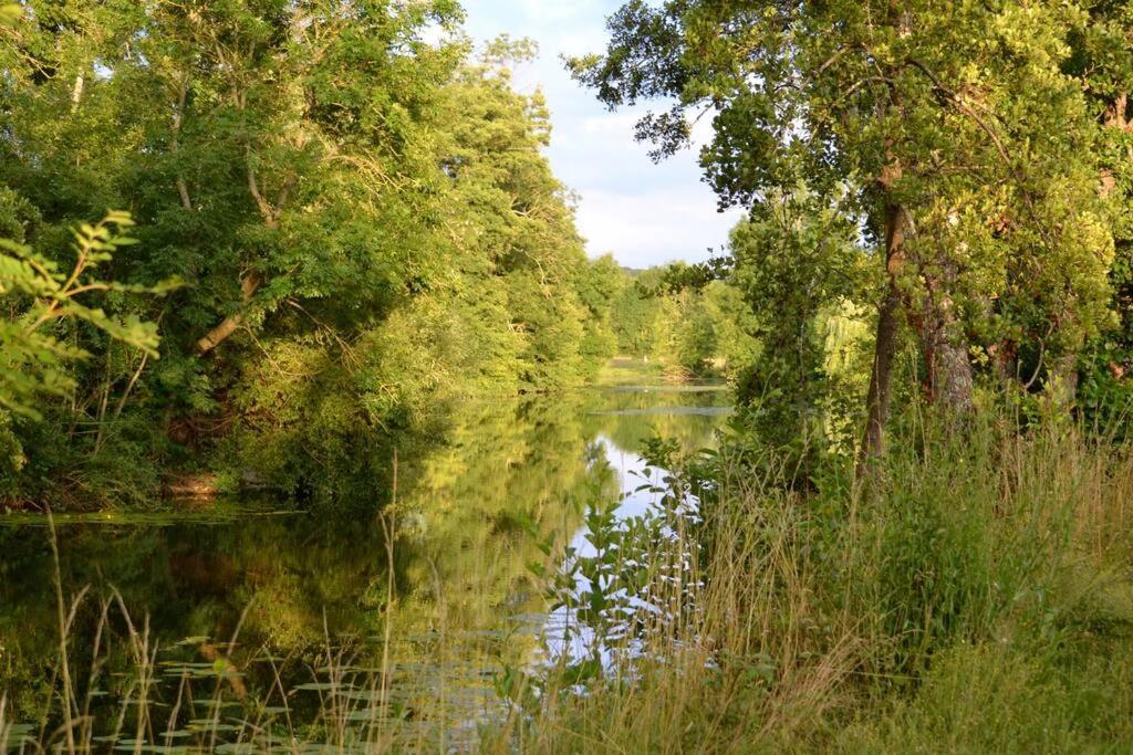 Villa Magnifique Moulin proche Chablis, jacuzzi et rivière Annay-sur-Serein Esterno foto