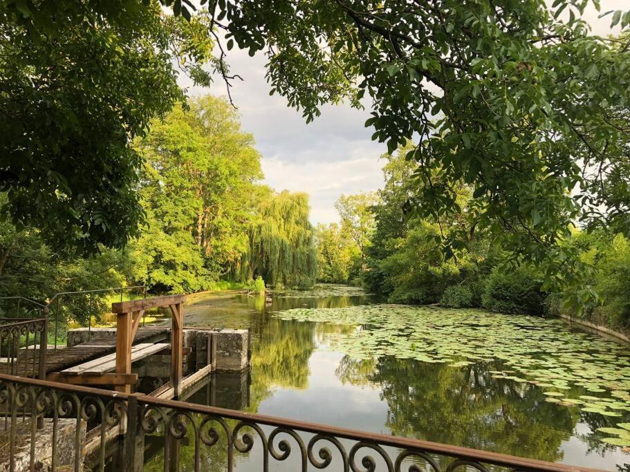 Villa Magnifique Moulin proche Chablis, jacuzzi et rivière Annay-sur-Serein Esterno foto